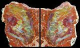Tall, Colorful, Arizona Petrified Wood Bookends #56034-1